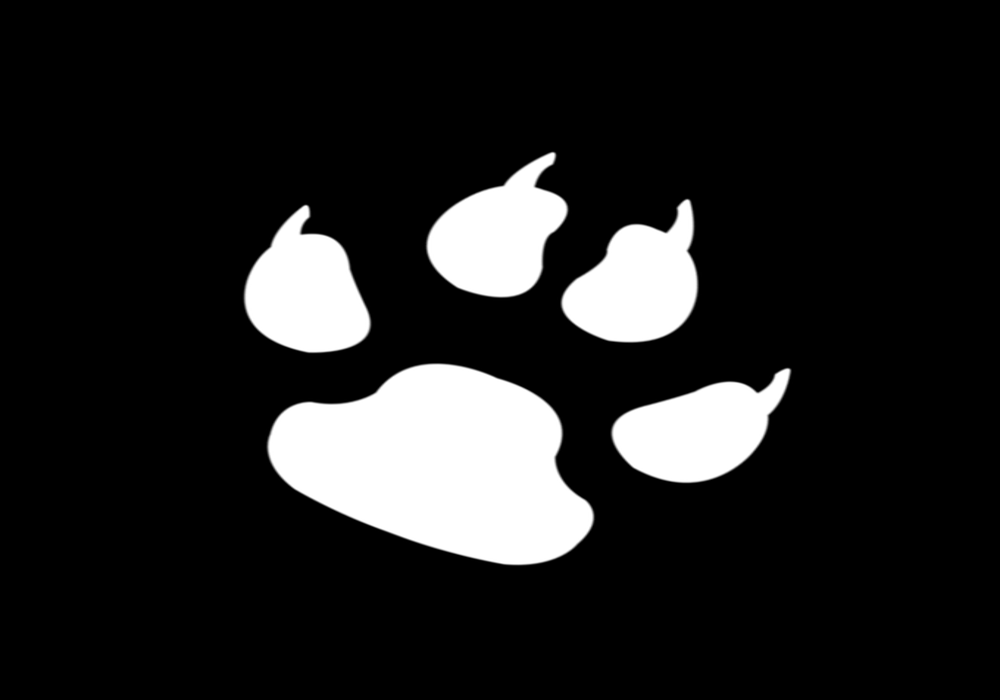 News : Rosa Motors brings Hoverbike