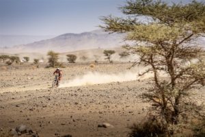 Toby Price - Red Bull KTM Factory Racing - 2021 Rallye du Maroc