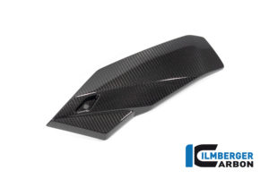 BMW_S1000R_2021_Ilmberger_carbon_MSL_009_S121N_K_1