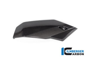 BMW_S1000R_2021_Ilmberger_carbon_MSR_010_S121N_K_2