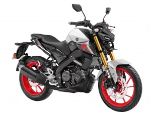 2022-Yamaha-MT-15