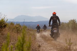 P90477017_lowRes_bmw-motorrad-gs-trop