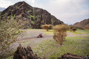 Daniel Sanders - Red Bull GASGAS Factory Racing