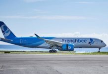 Why French bee Suspended its Paris to Los Angeles Route for Winter: Analyzing the New Competitive Landscape
